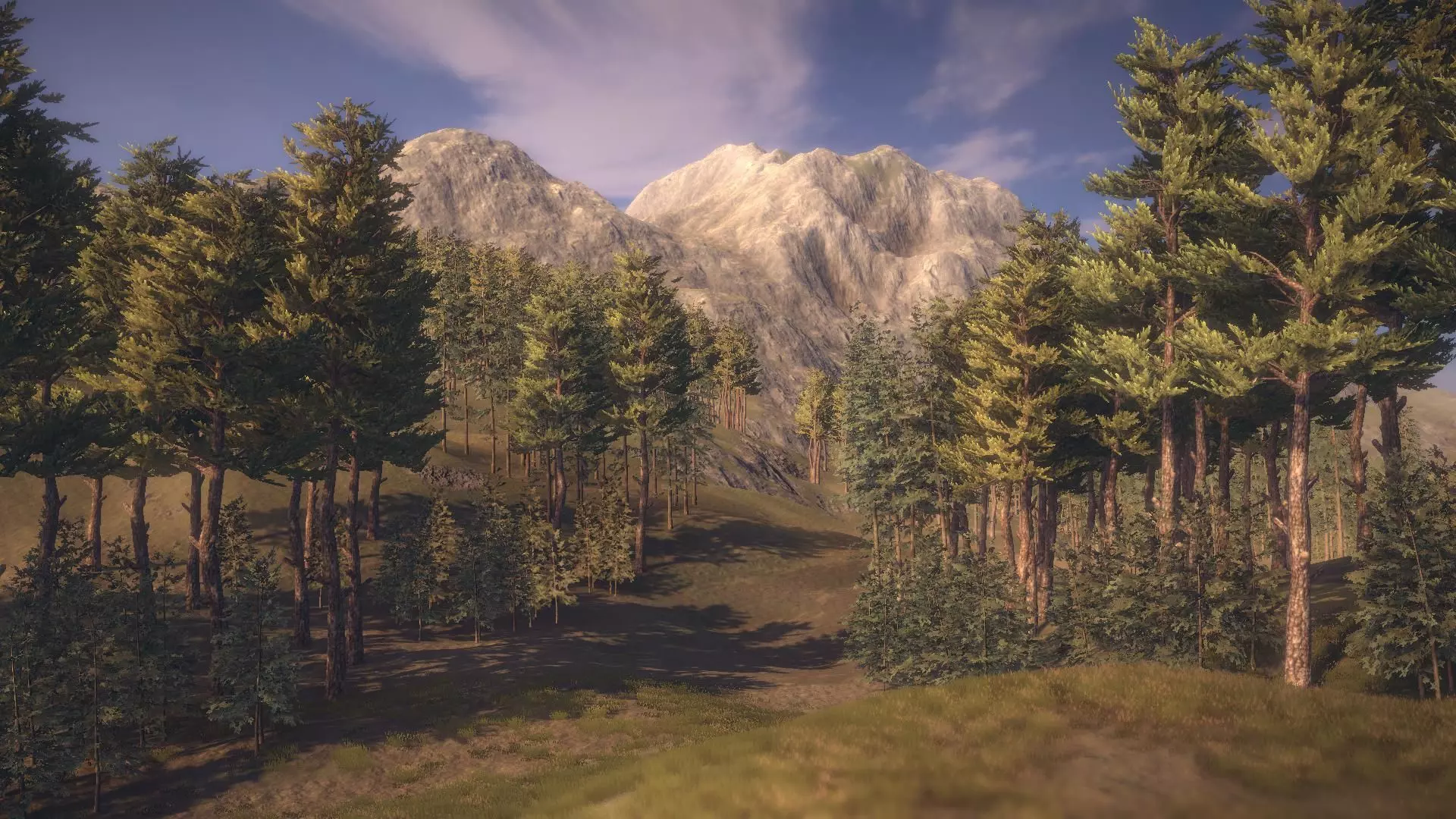 forest unity 3D model_0