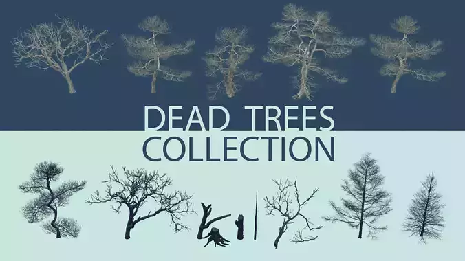 Dead Trees 3D Model Collection