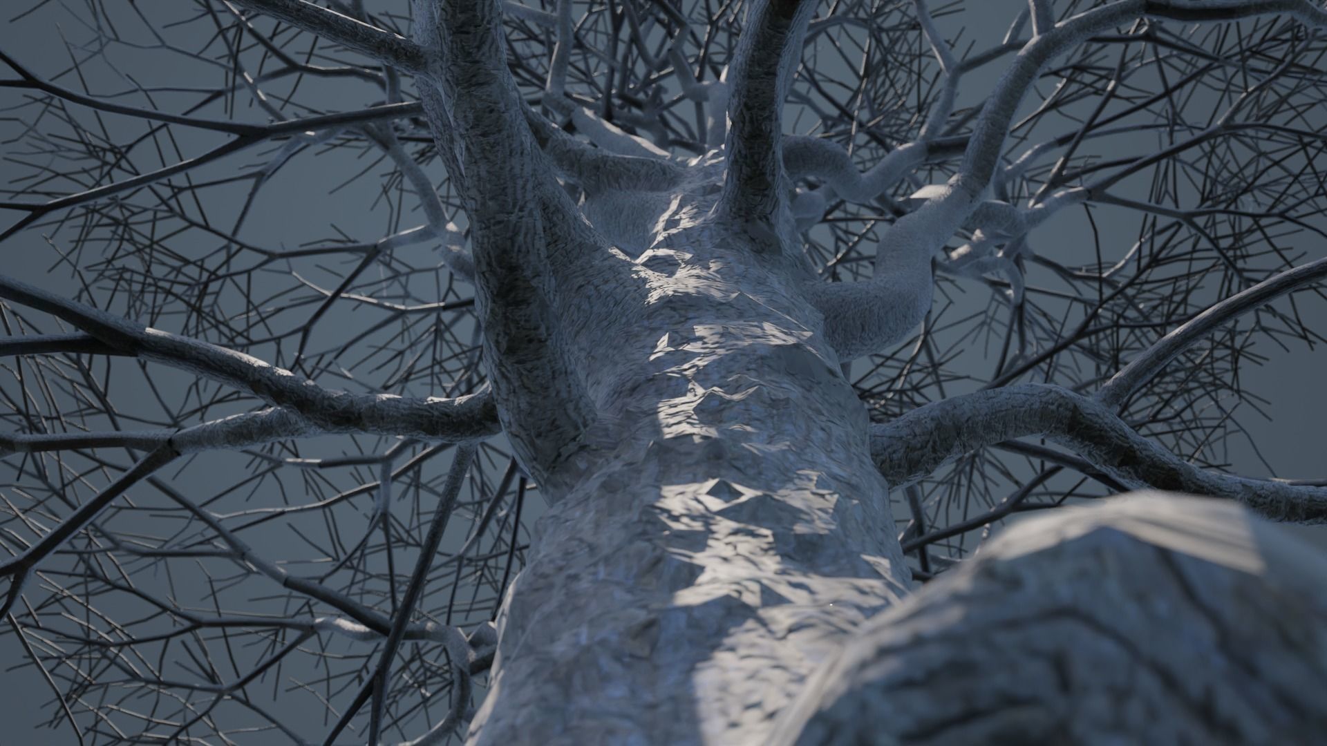 Dead Trees 3D Model Collection_15