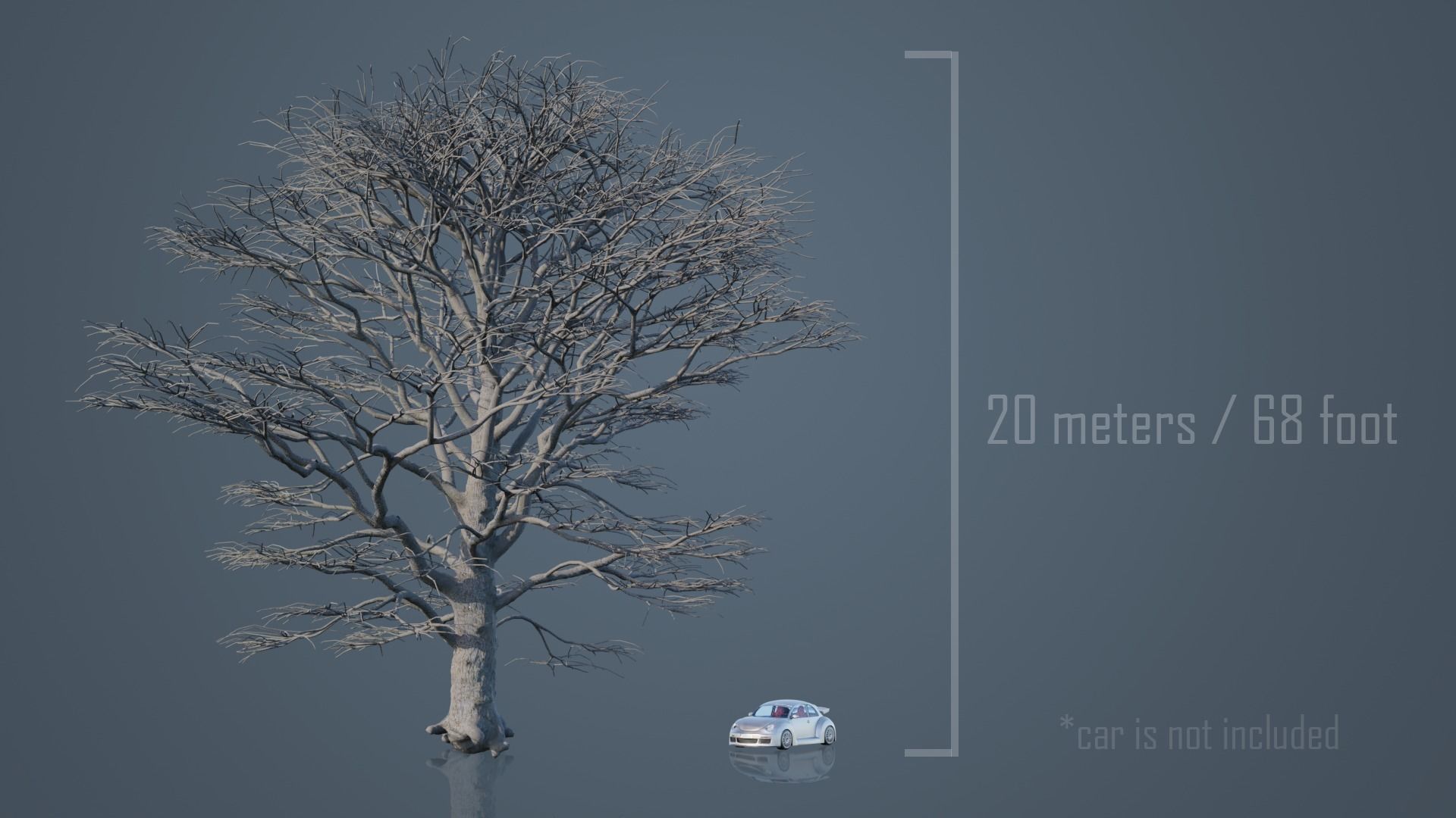 Dead Trees 3D Model Collection_13