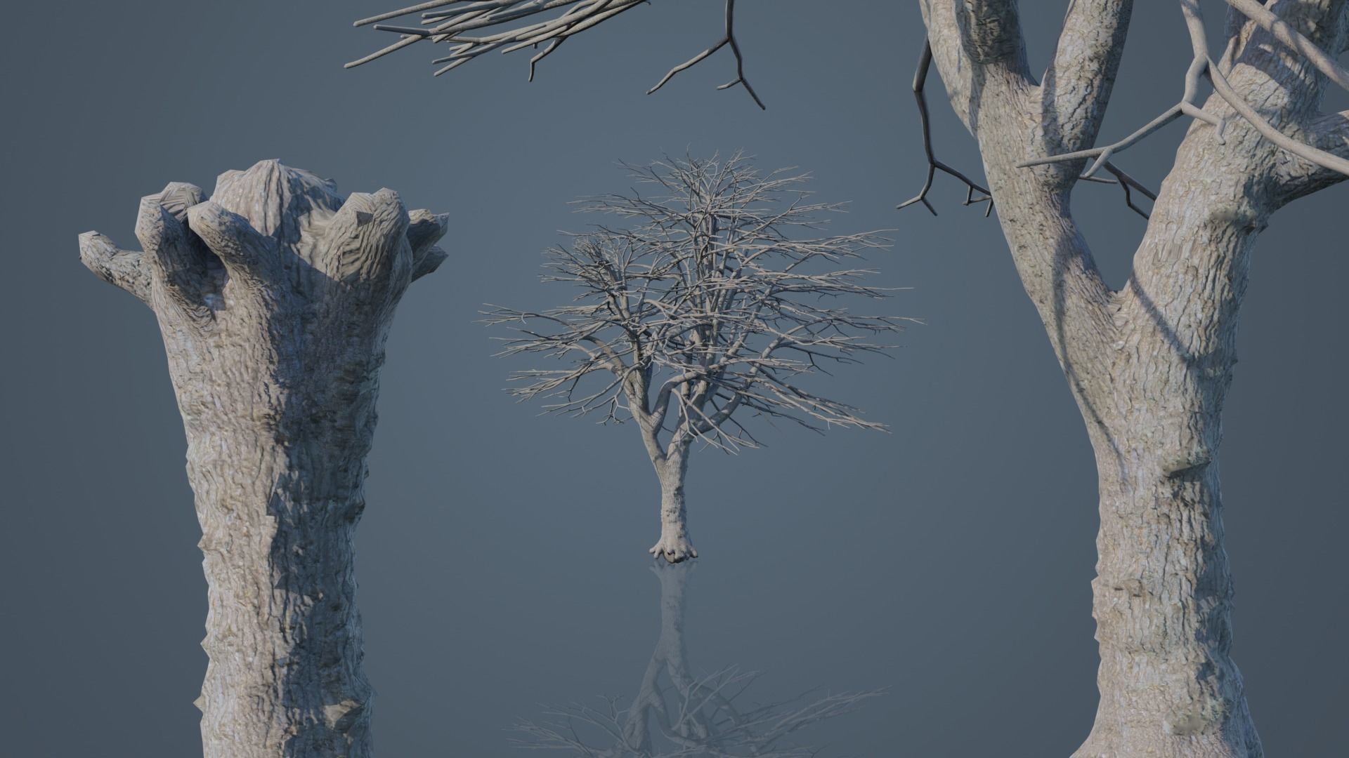 Dead Trees 3D Model Collection_14