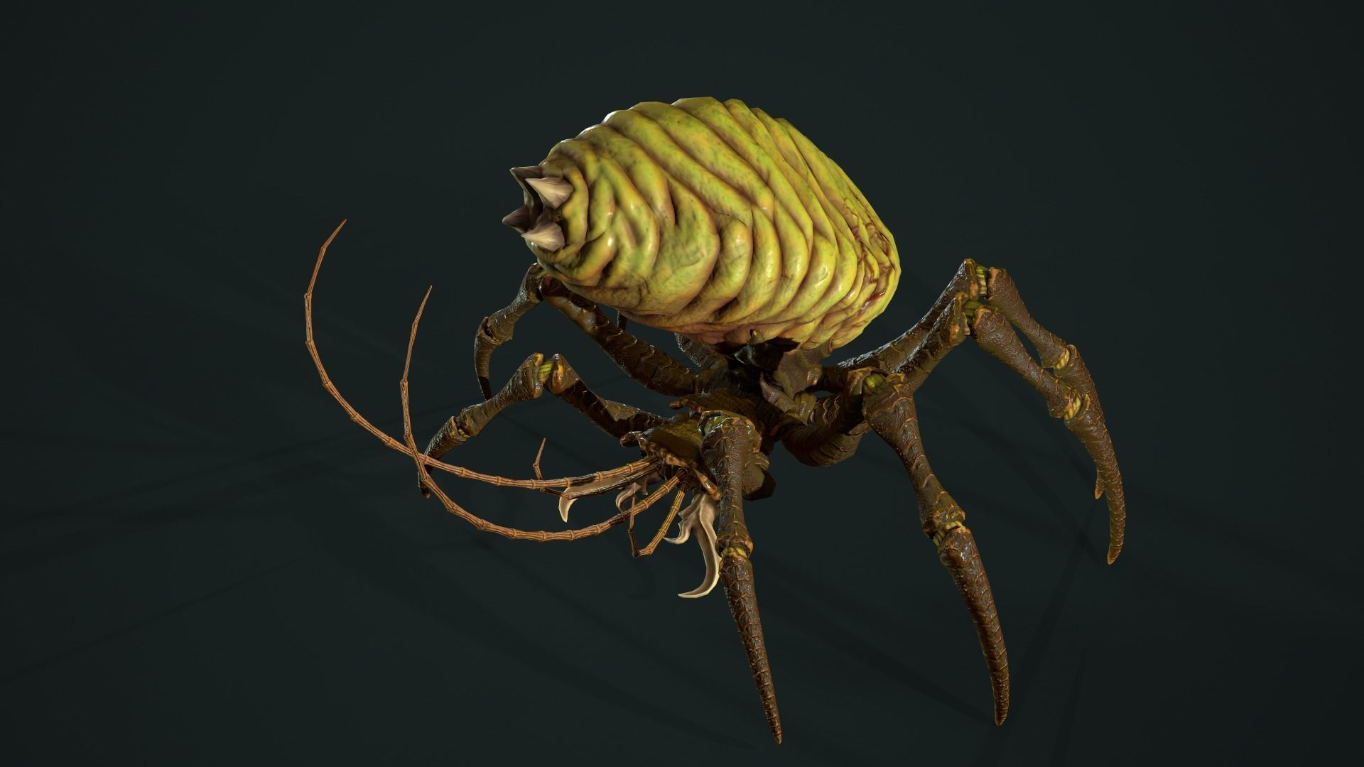 Bug 02 Low-poly 3D model_25