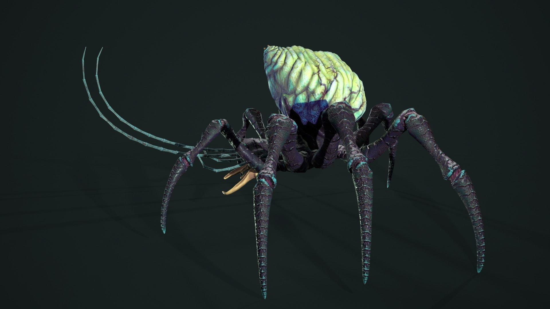 Bug 02 Low-poly 3D model_27