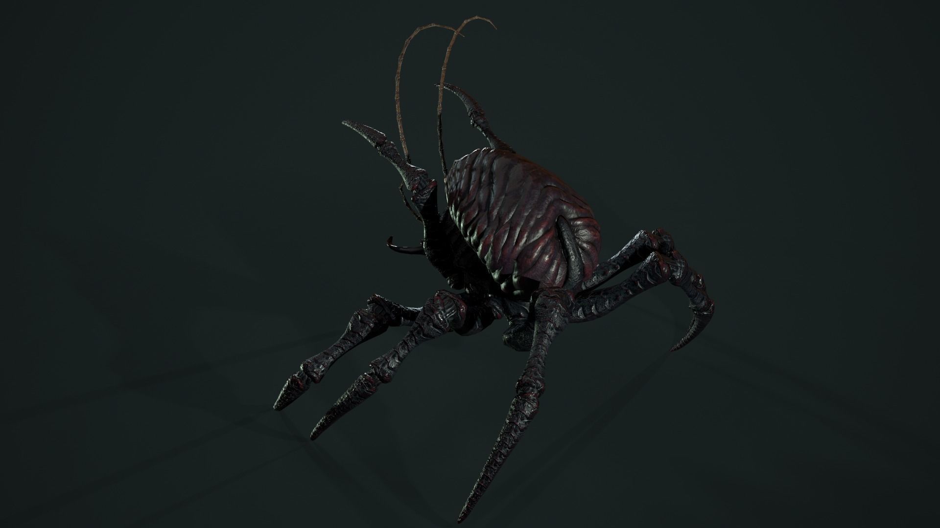 Bug 02 Low-poly 3D model_22