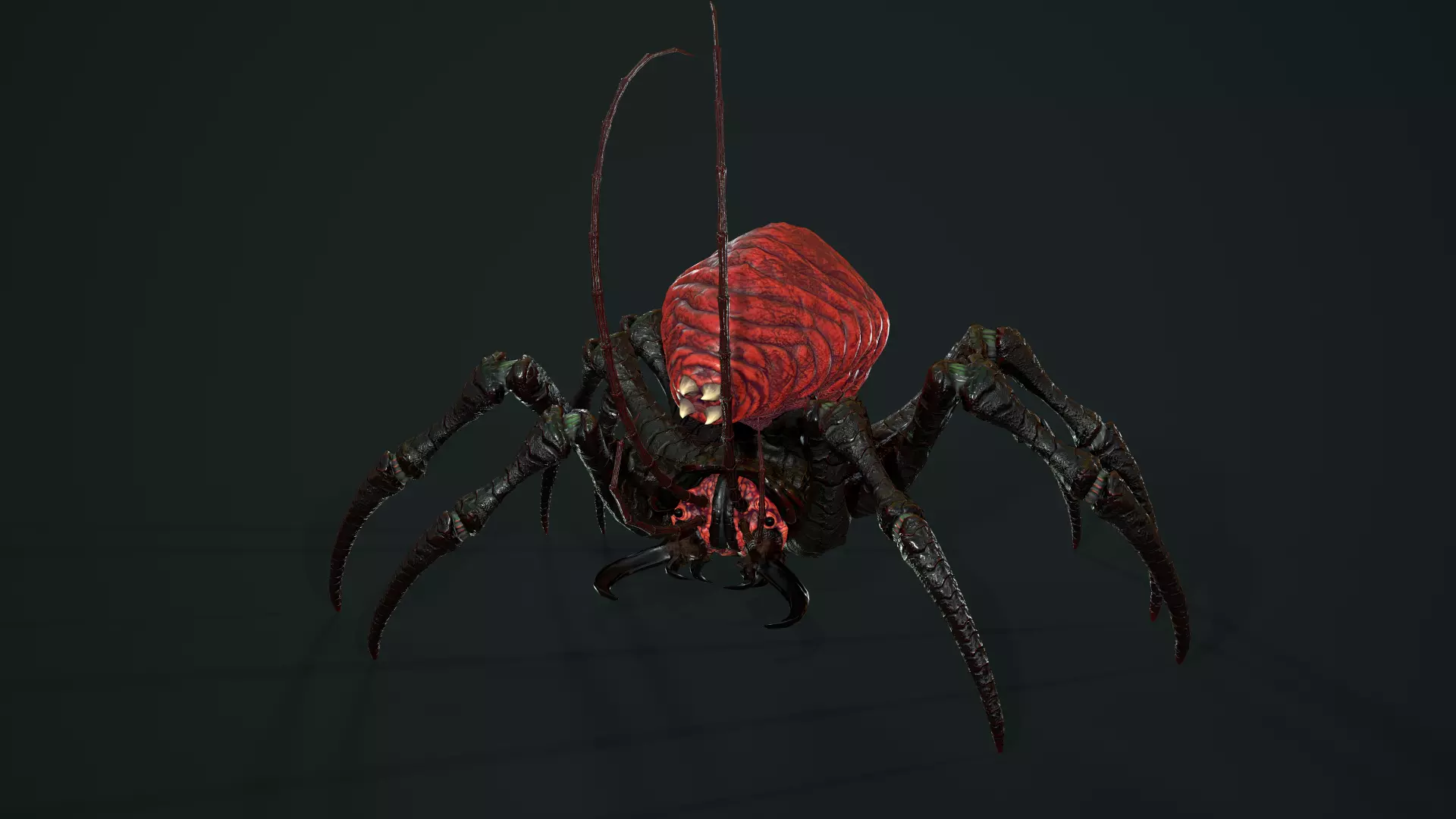 Bug 02 Low-poly 3D model_0