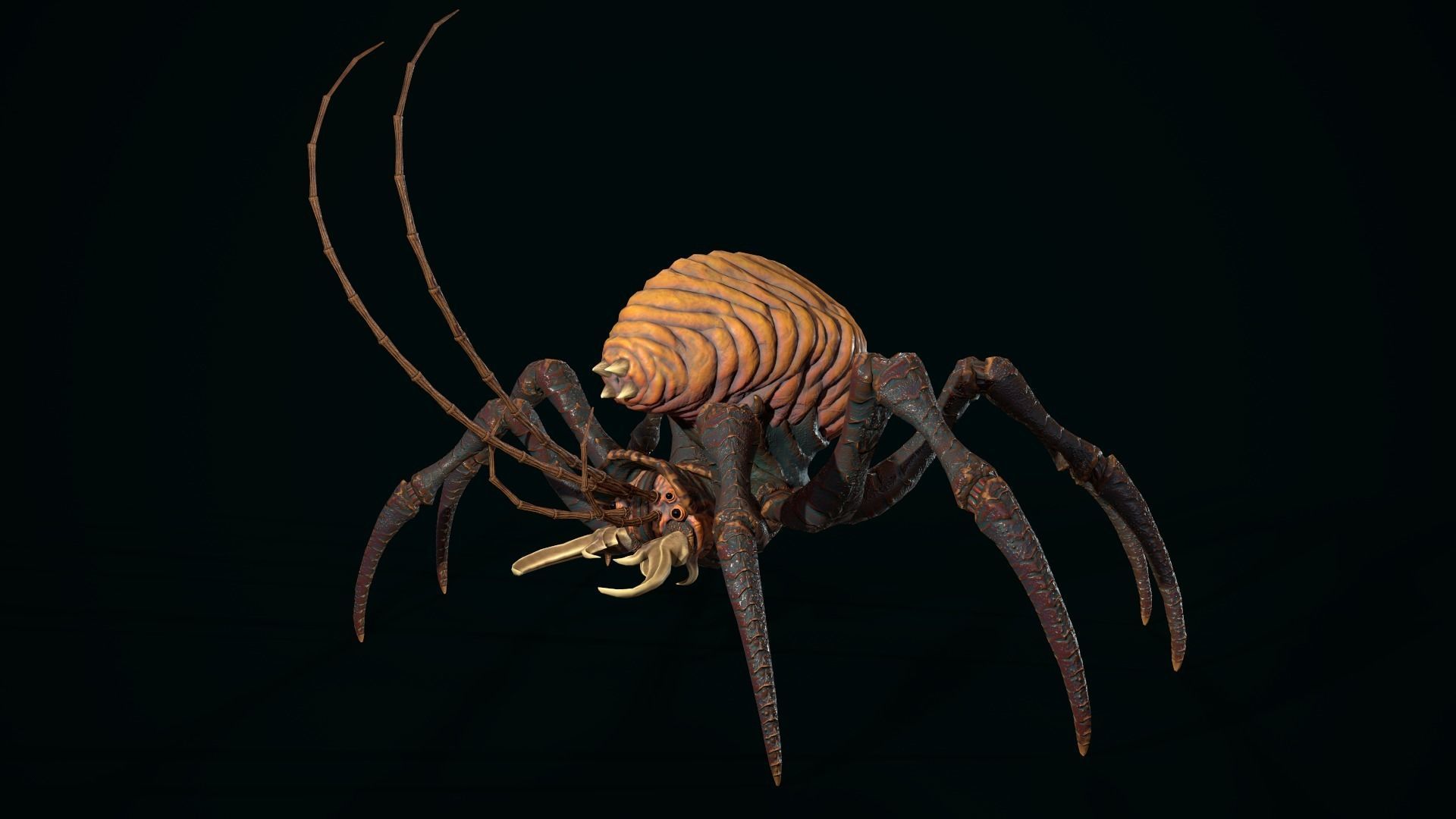 Bug 02 Low-poly 3D model_11