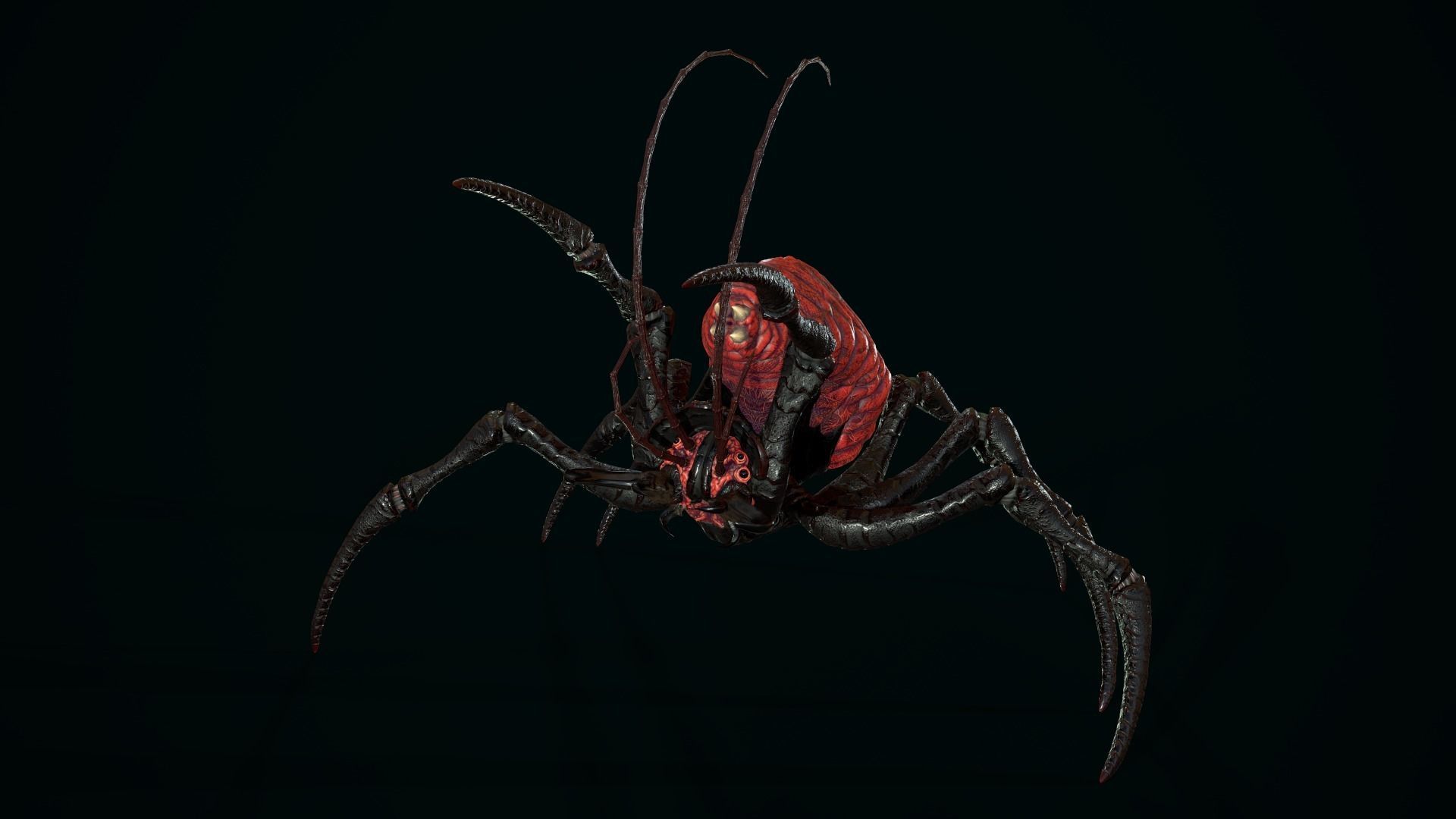 Bug 02 Low-poly 3D model_14