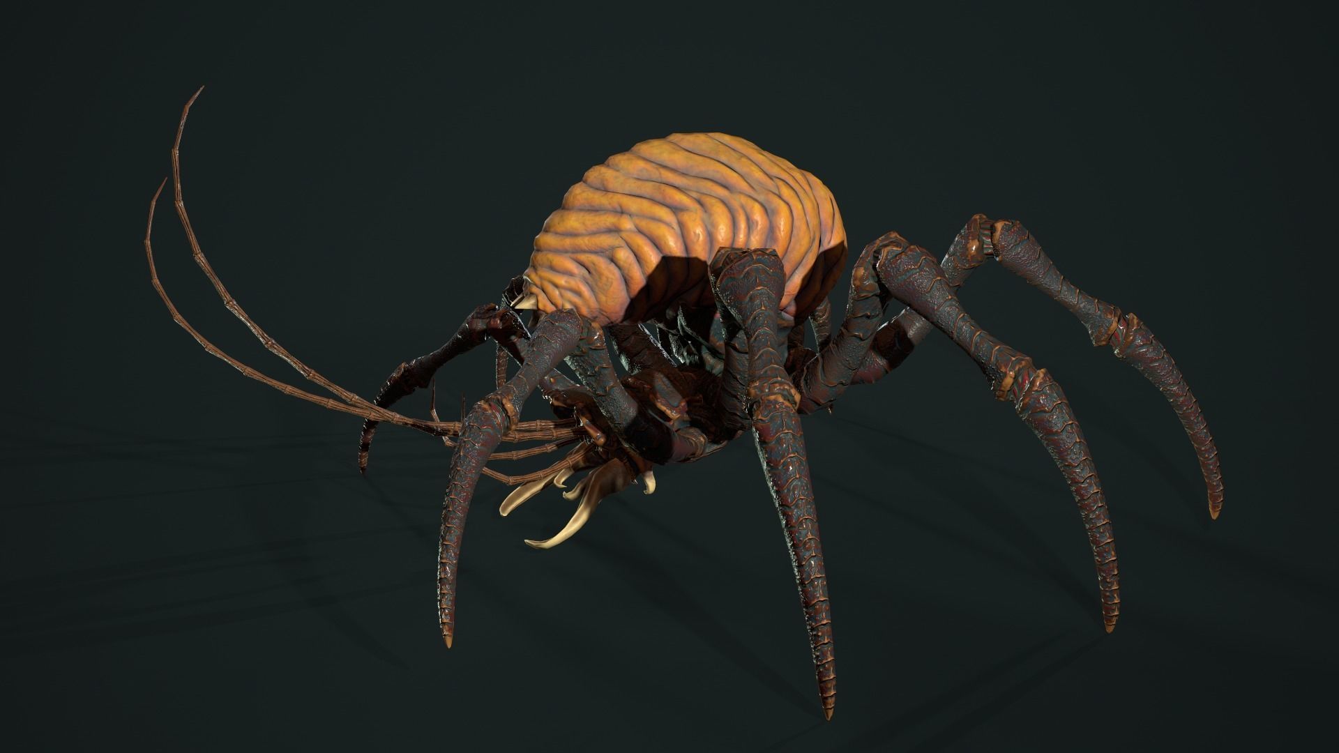 Bug 02 Low-poly 3D model_29