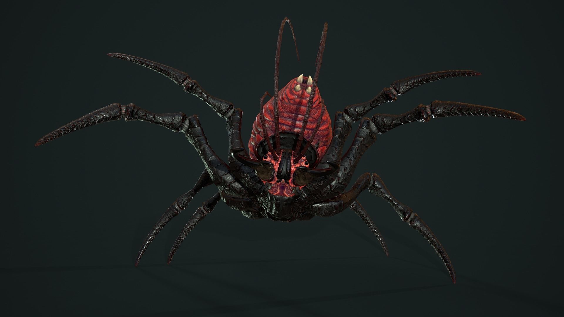 Bug 02 Low-poly 3D model_15