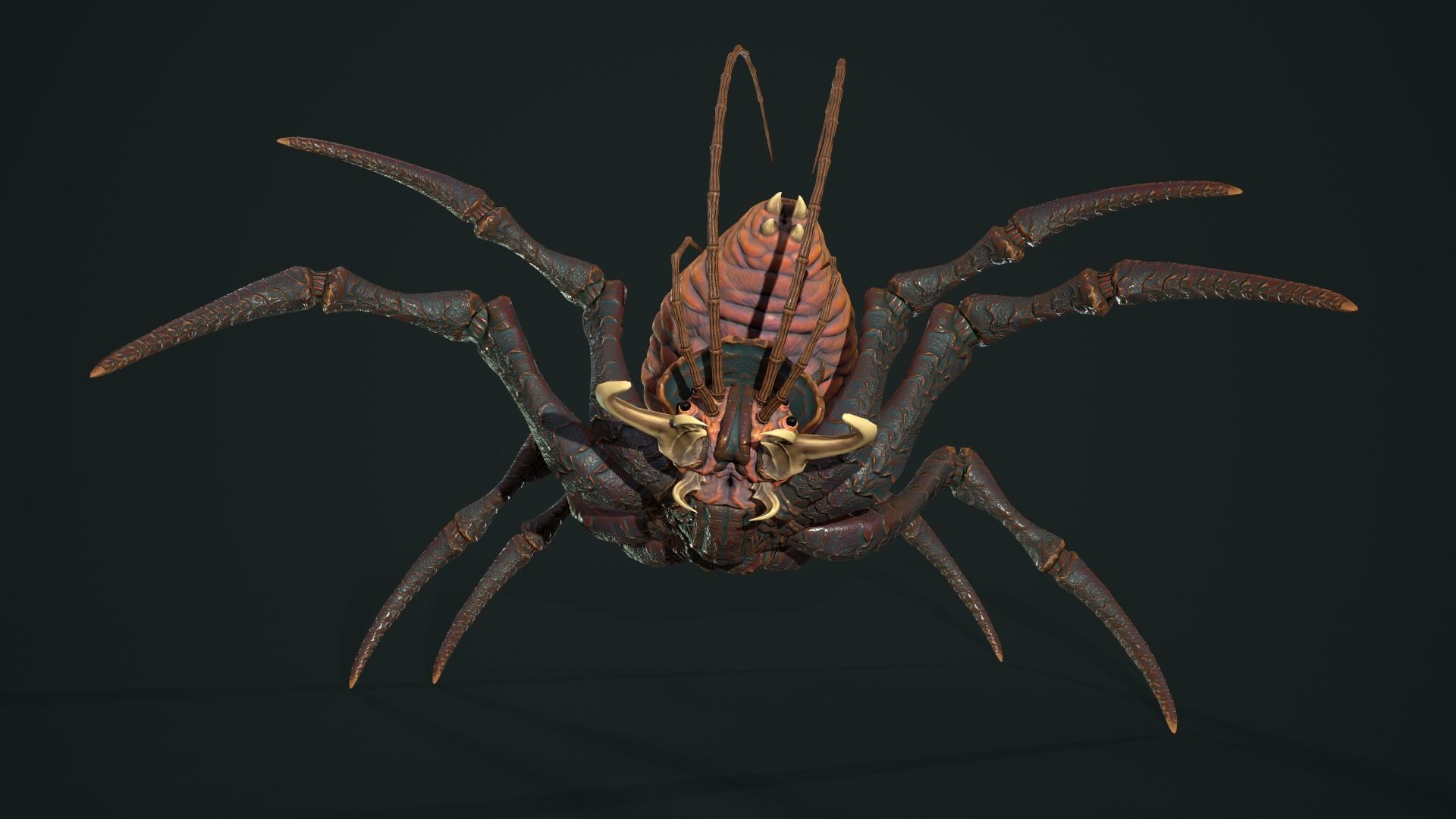 Bug 02 Low-poly 3D model_17