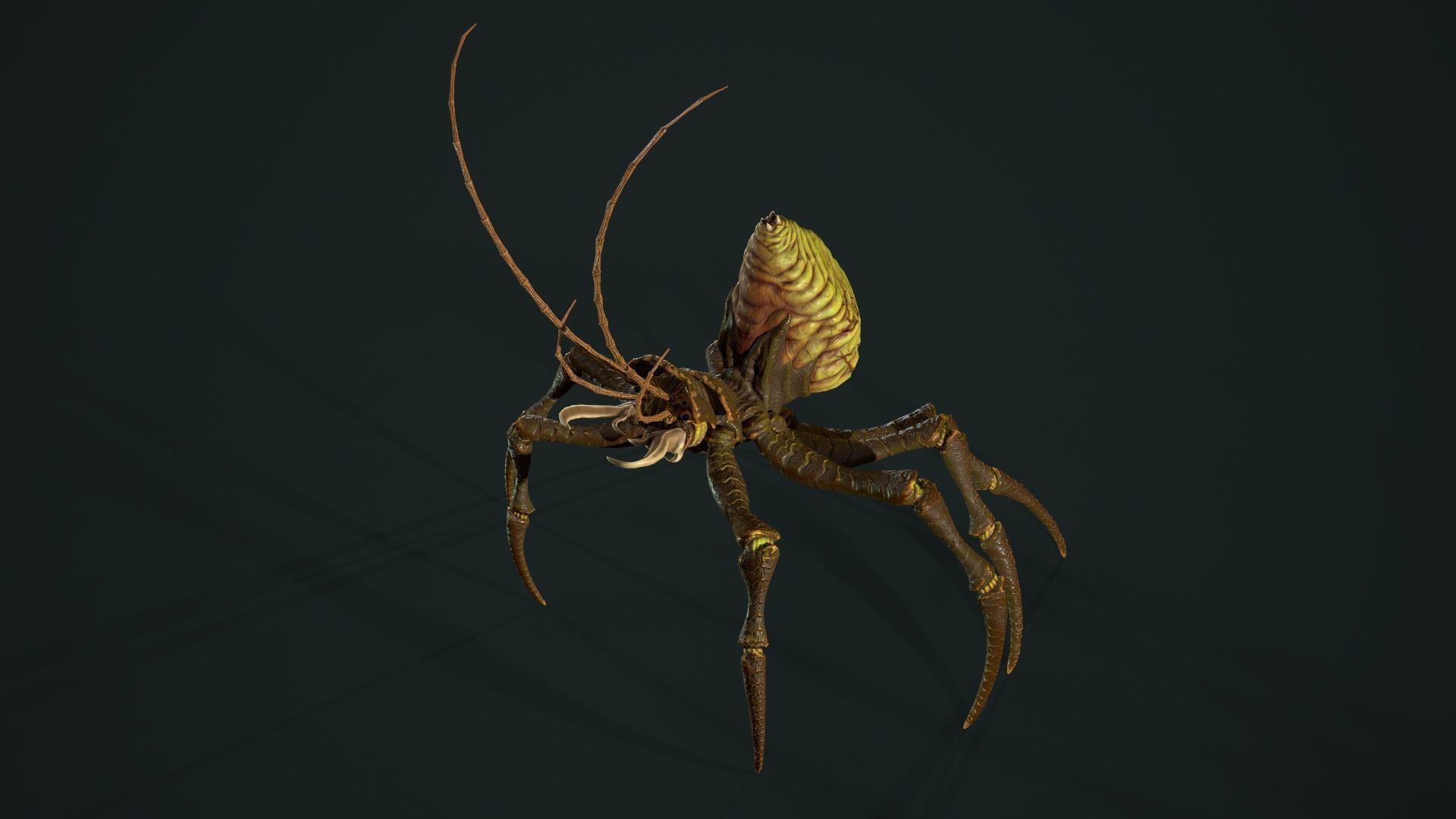 Bug 02 Low-poly 3D model_24