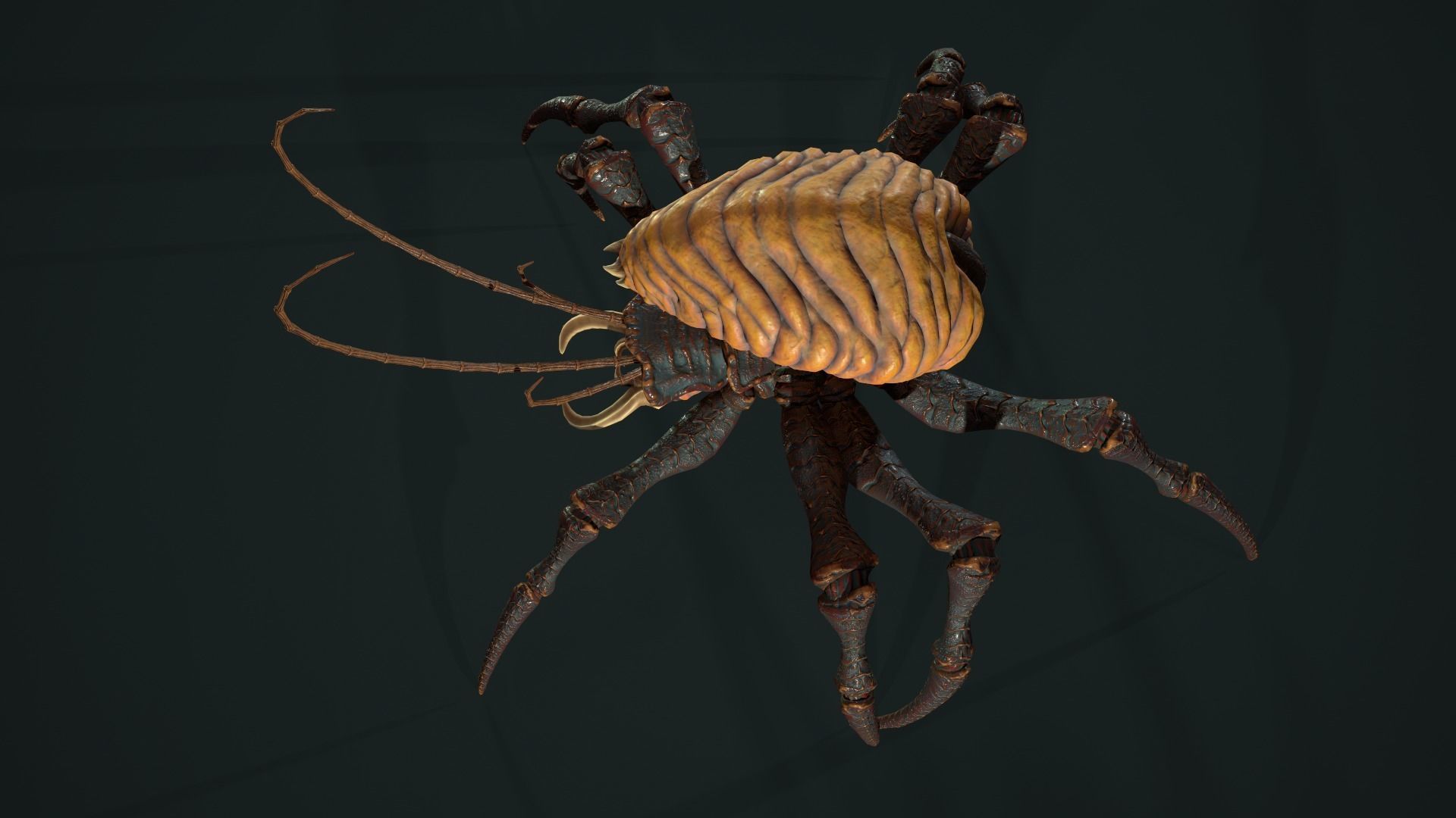 Bug 02 Low-poly 3D model_30