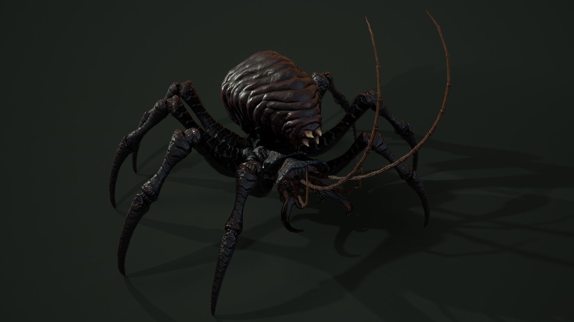 Bug 02 Low-poly 3D model_10