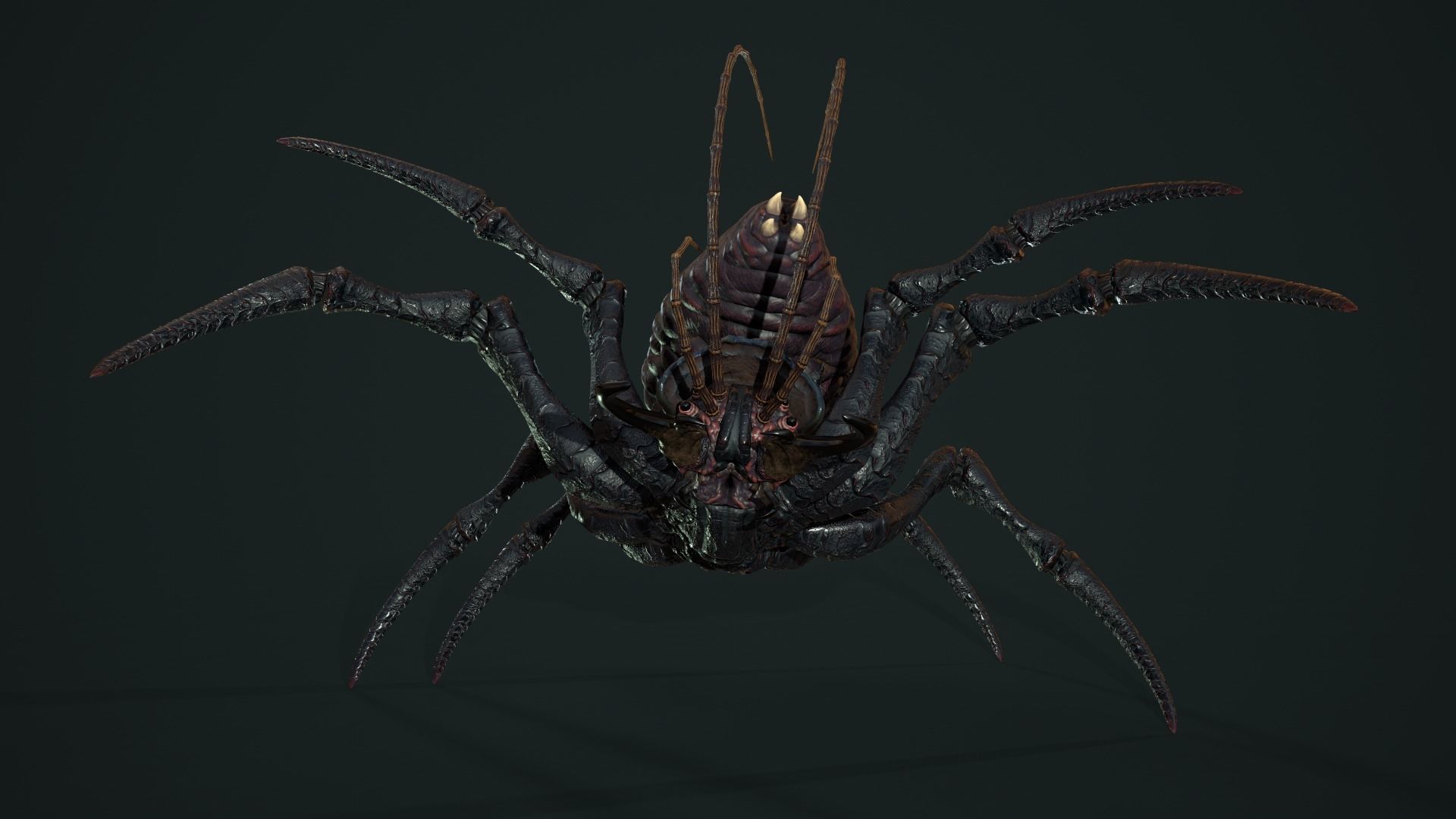 Bug 02 Low-poly 3D model_16