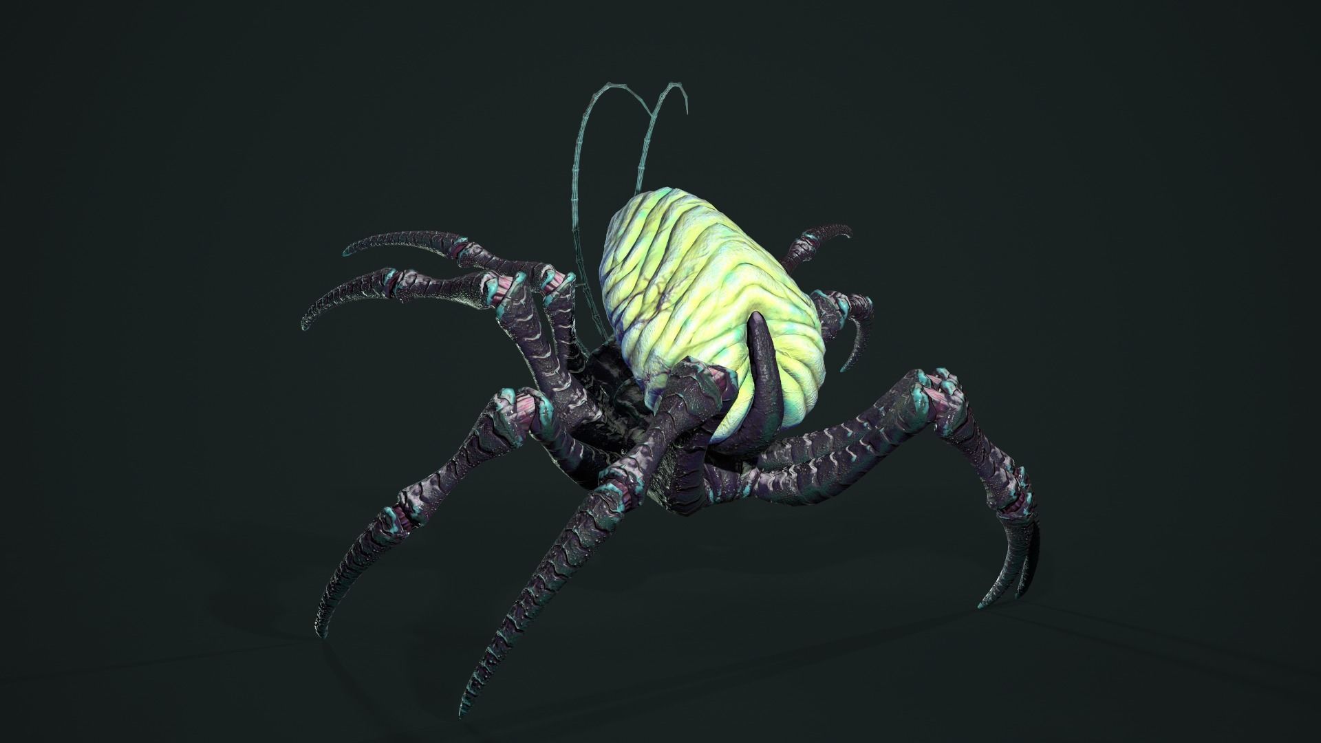 Bug 02 Low-poly 3D model_21