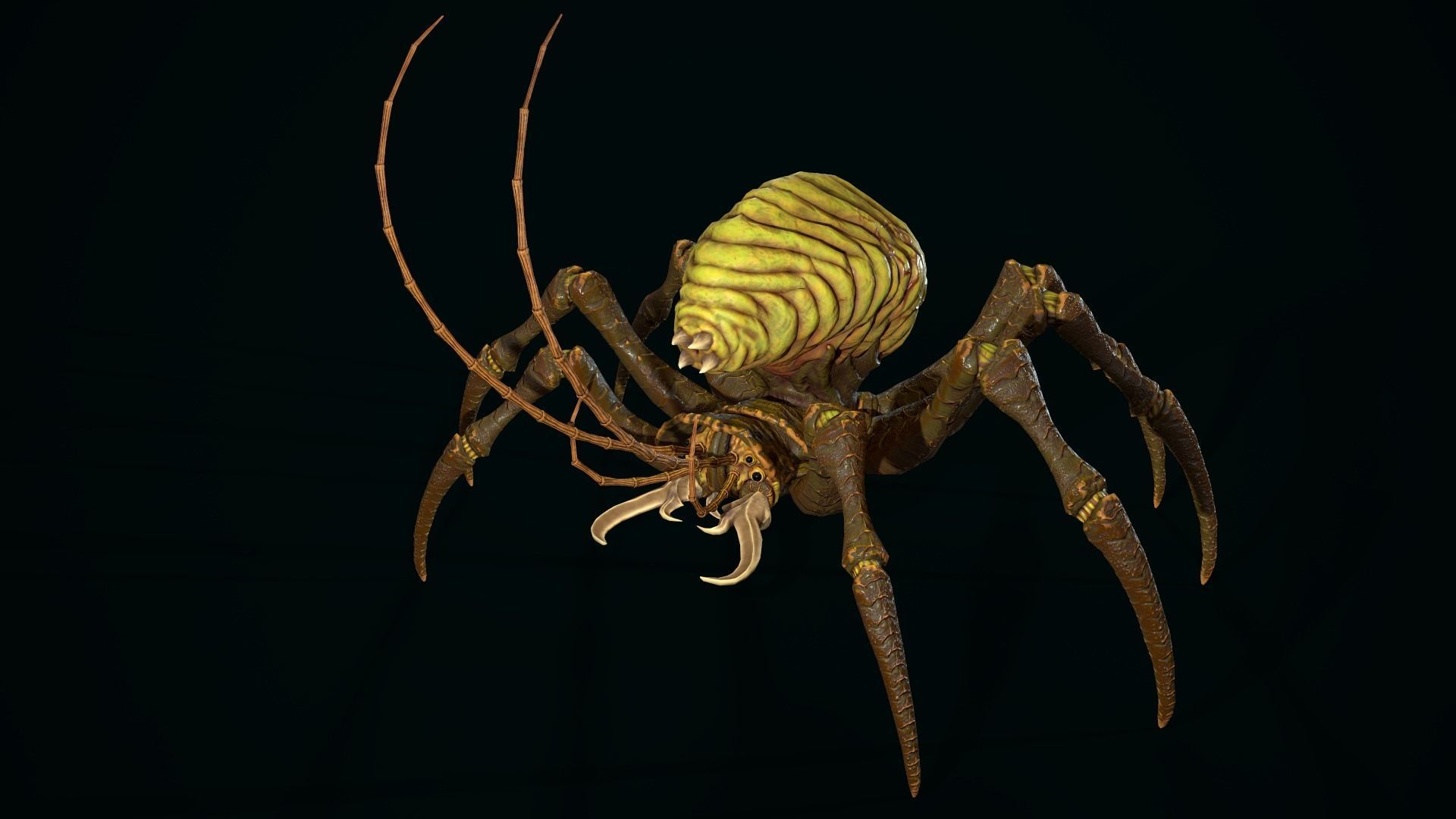 Bug 02 Low-poly 3D model_12
