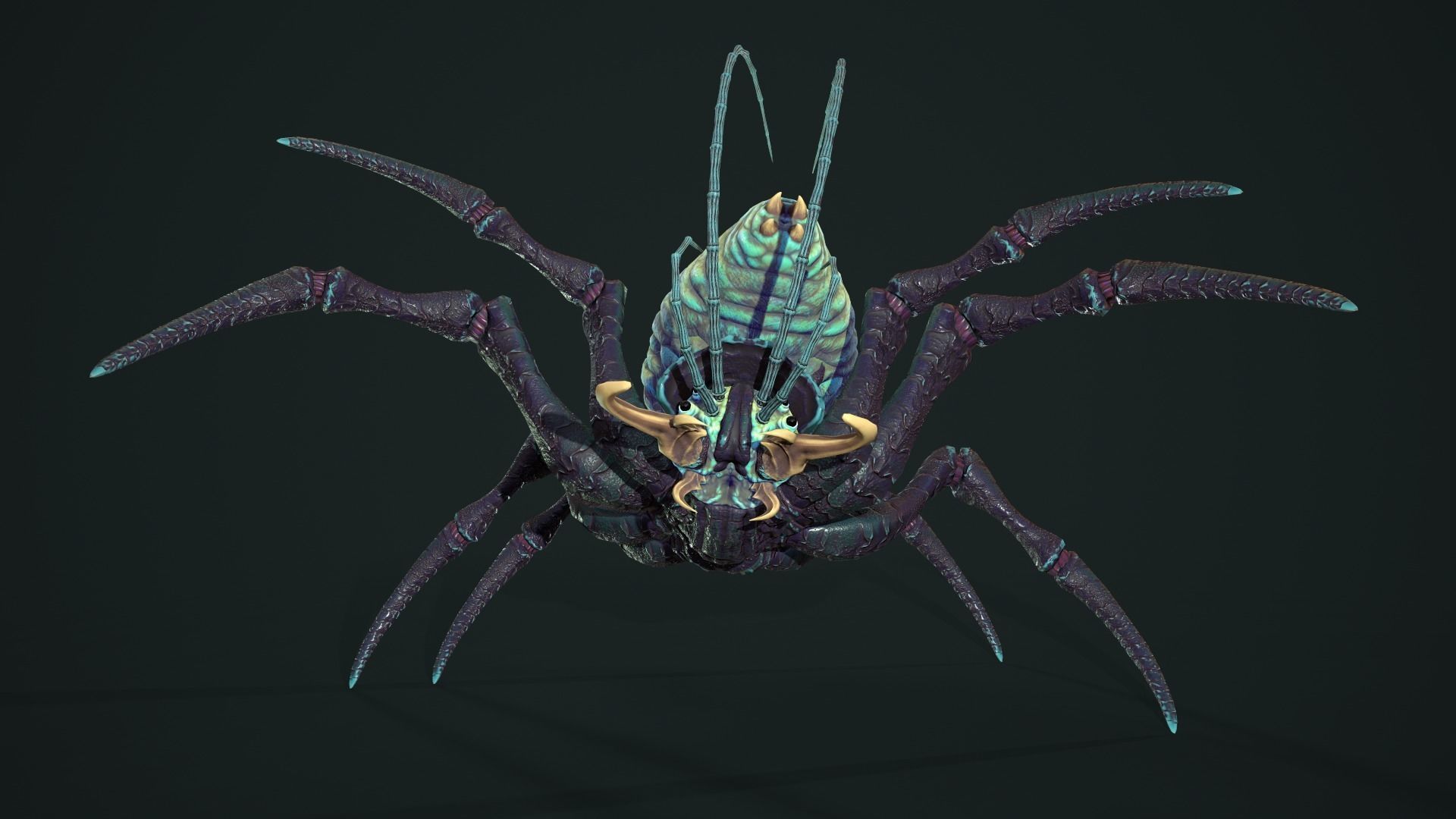 Bug 02 Low-poly 3D model_20