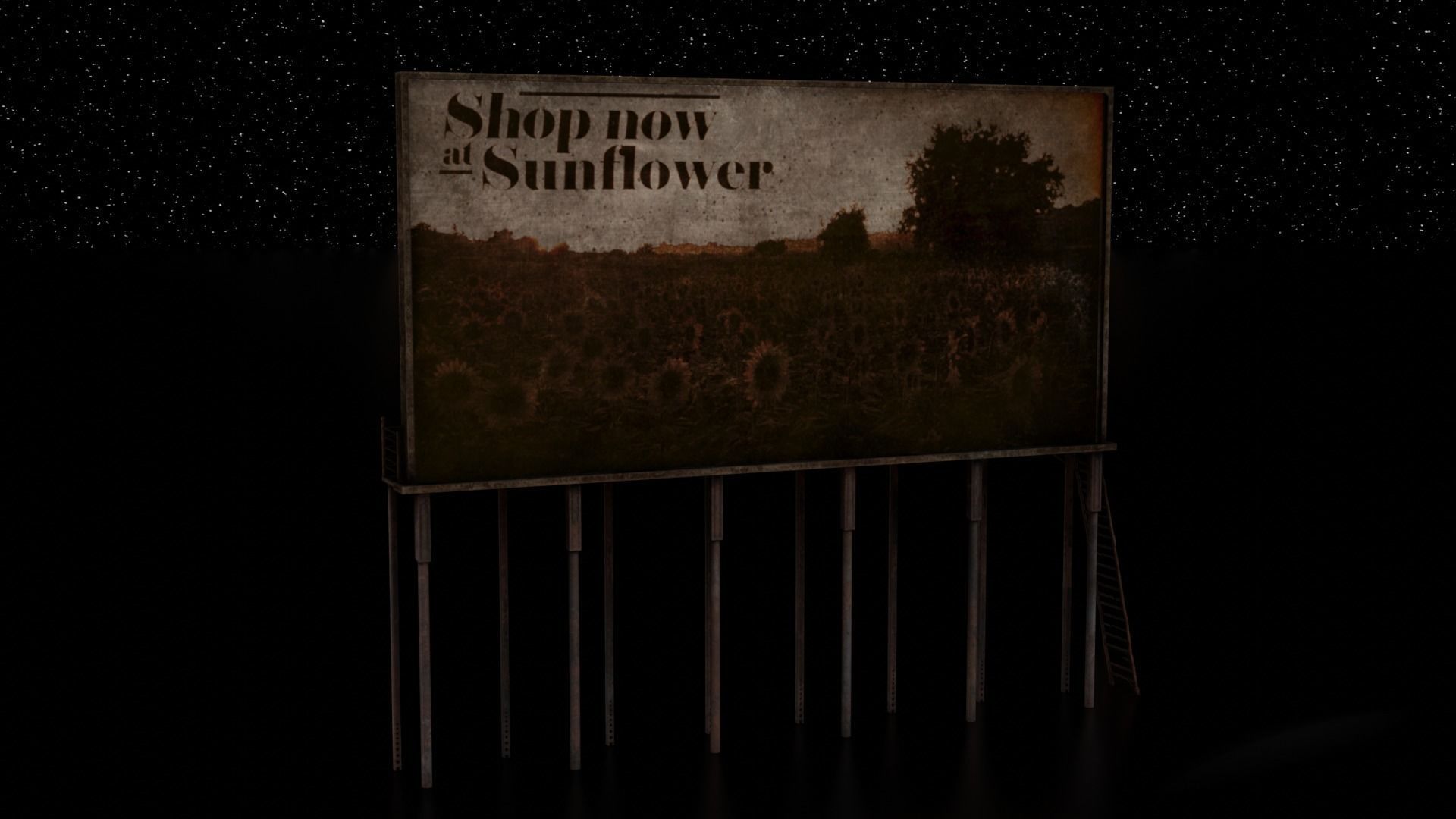 Old Billboard Low-poly 3D model_2