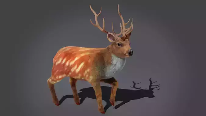 Fur Rigged Deer Stag