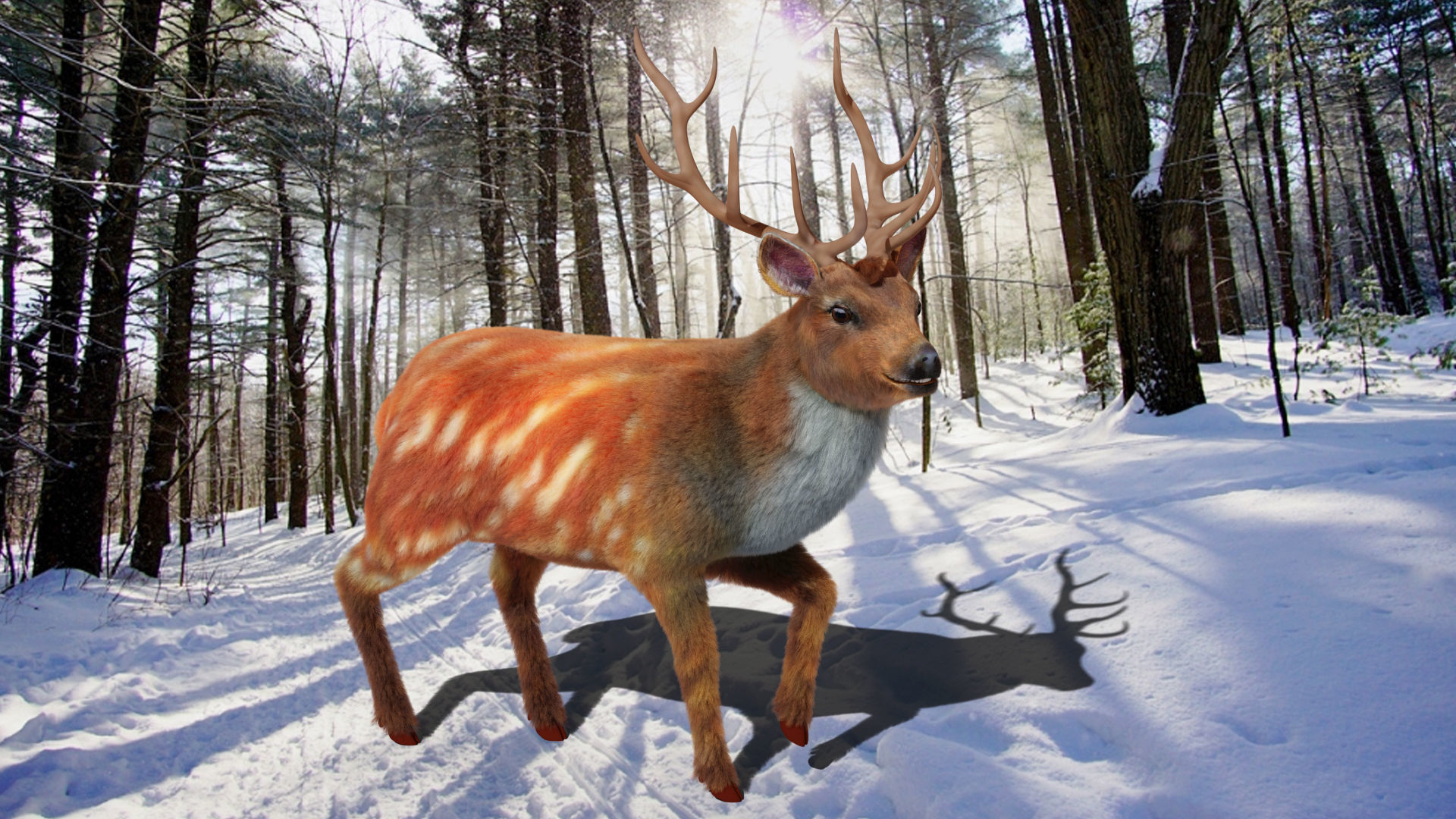 Fur Rigged Deer Stag Low-poly 3D model_3