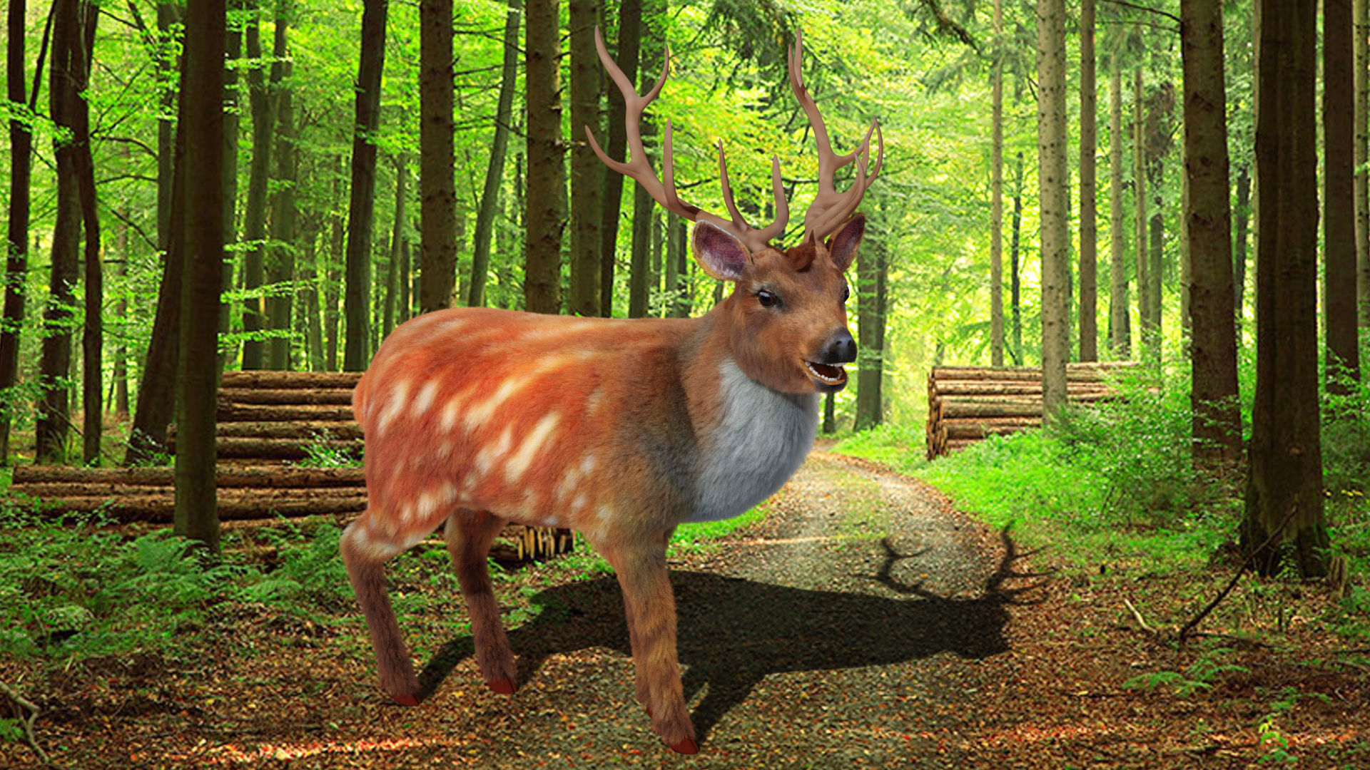 Fur Rigged Deer Stag Low-poly 3D model_2