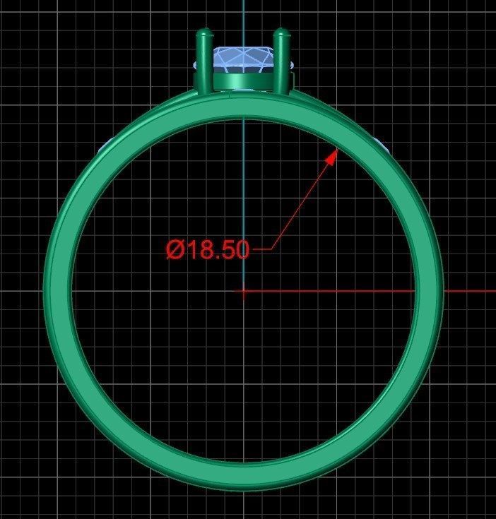 Ring ri11 3D print model_7