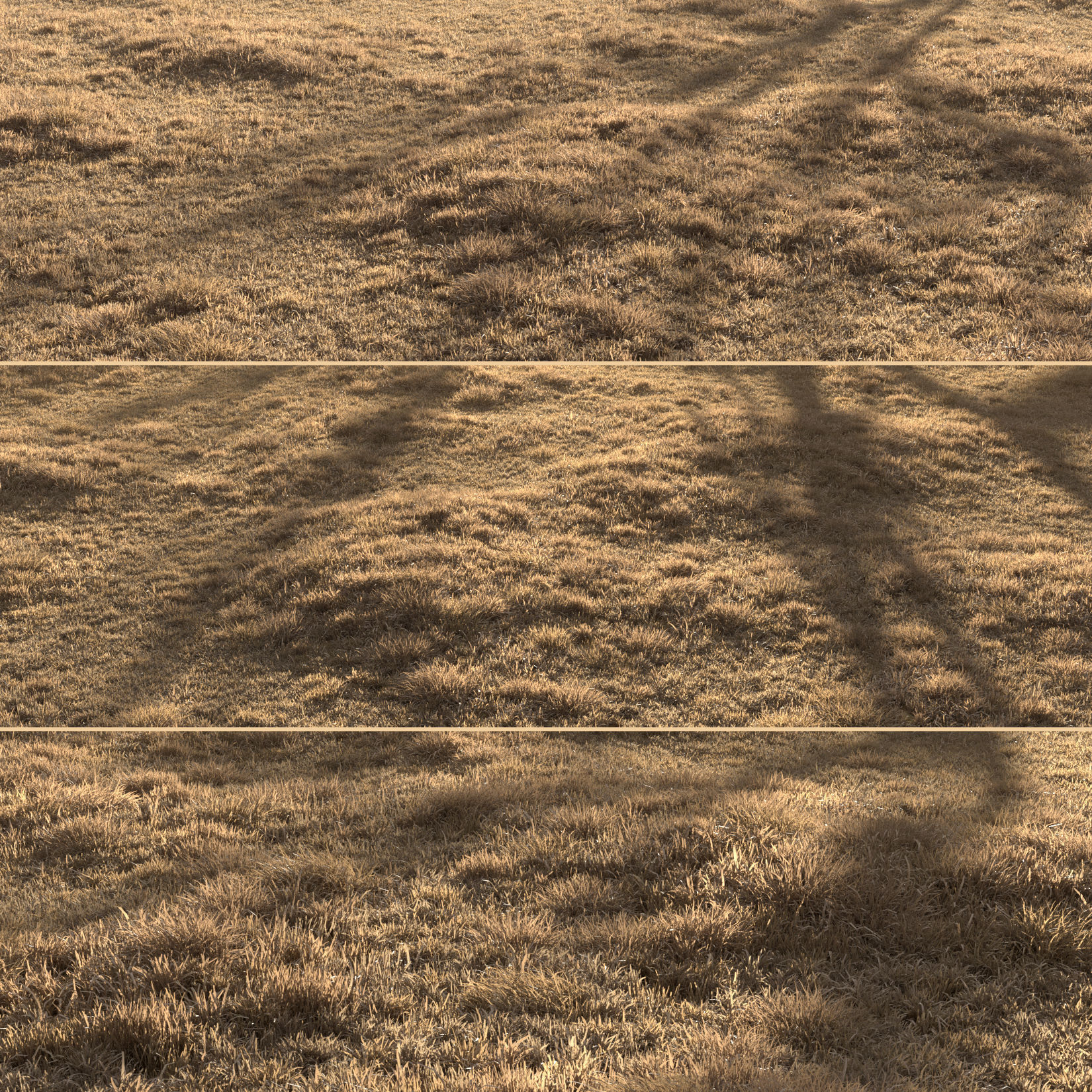 Dried Grass Landscape 3D model_1