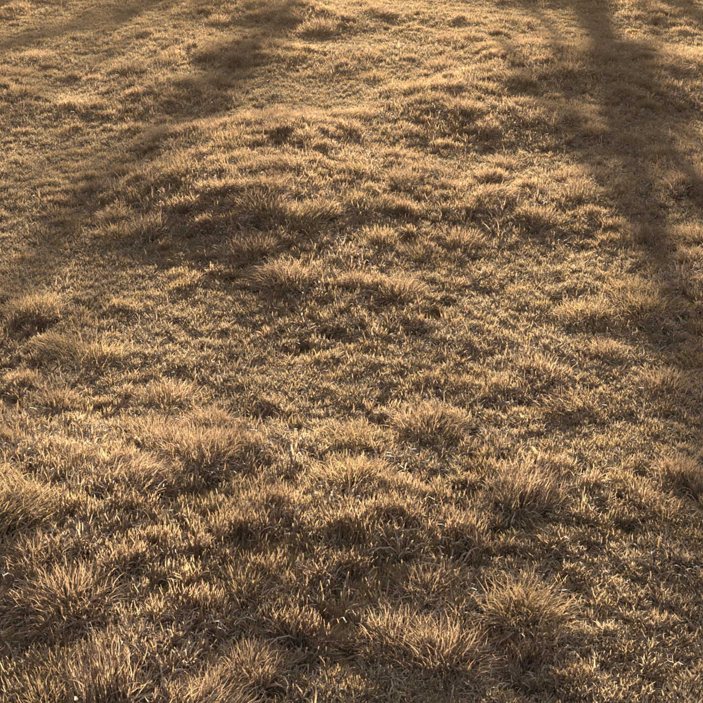 Dried Grass Landscape 3D model_8