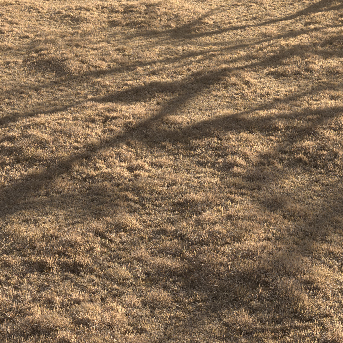 Dried Grass Landscape 3D model_7