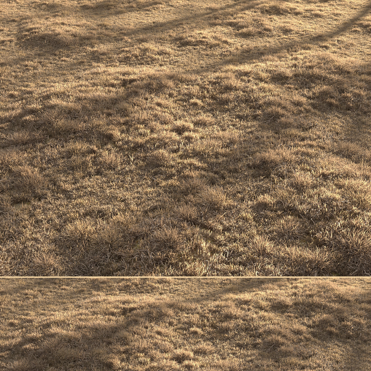 Dried Grass Landscape 3D model_4