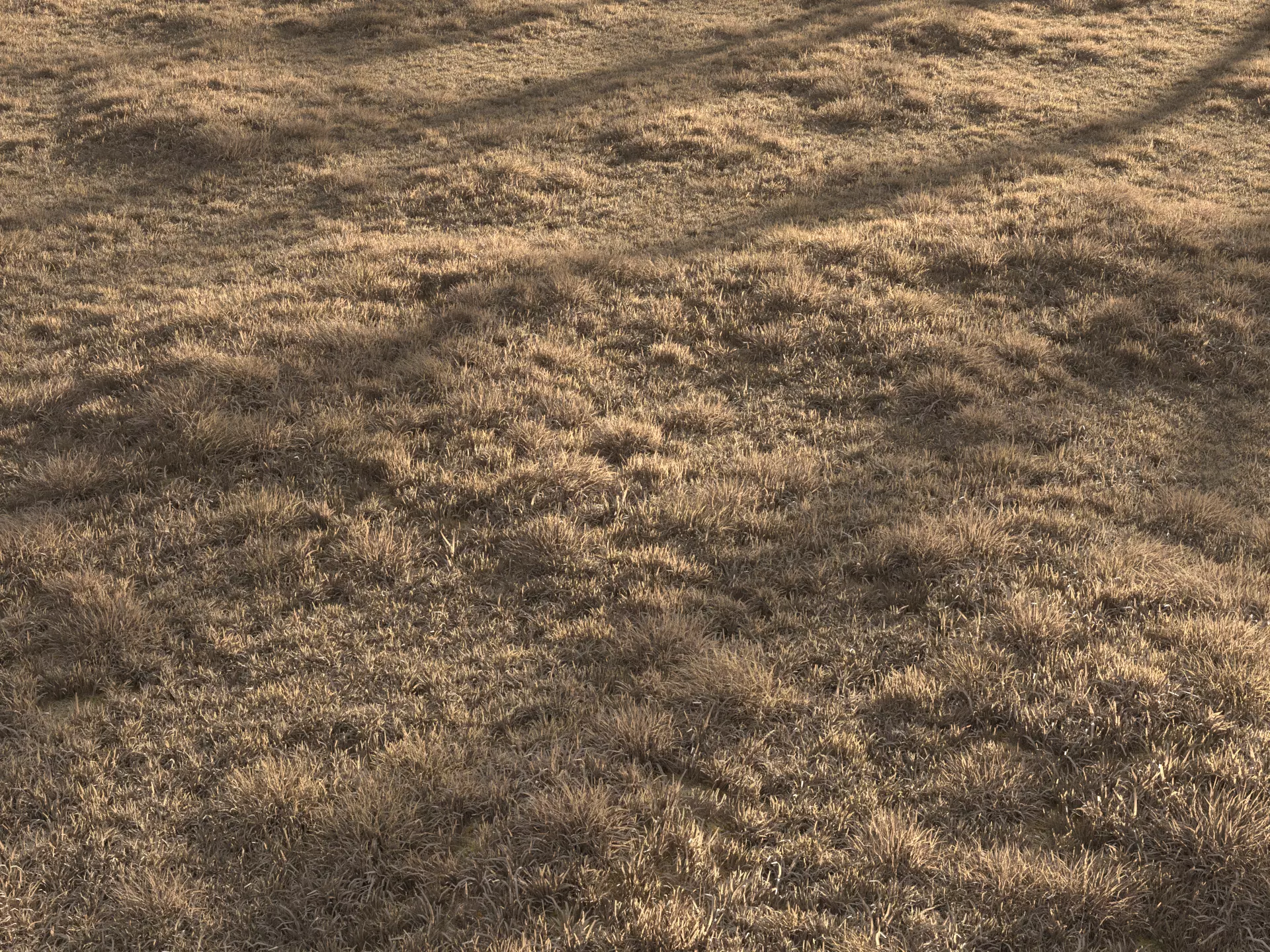 Dried Grass Landscape 3D model_0