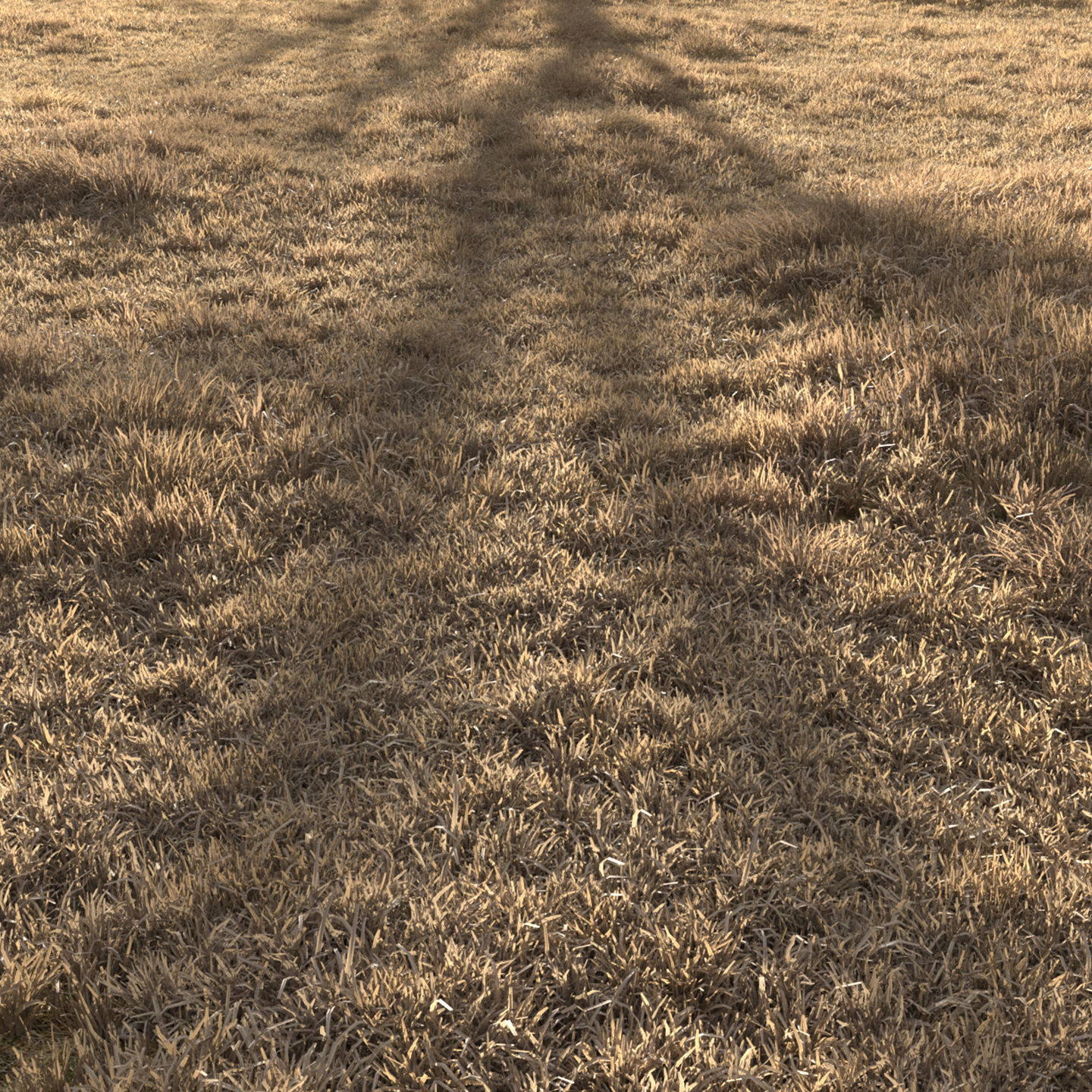 Dried Grass Landscape 3D model_2