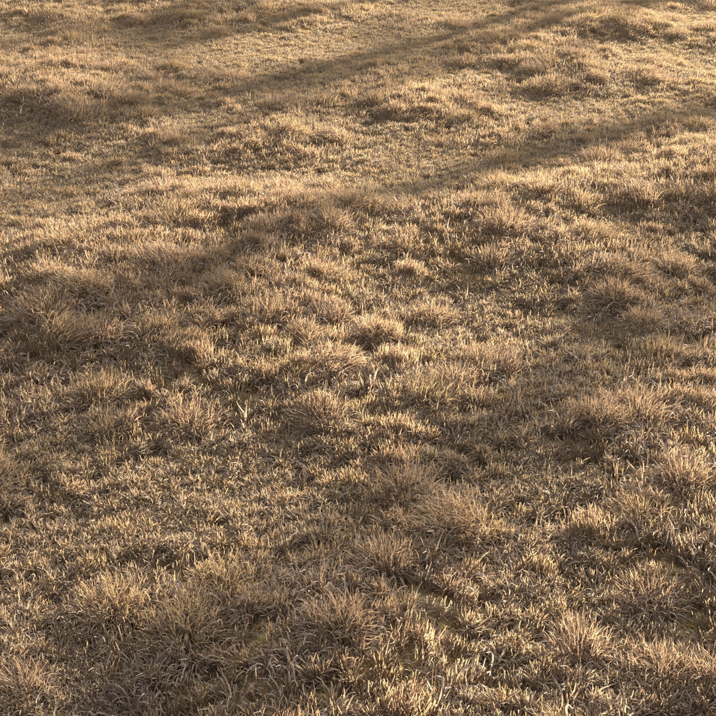 Dried Grass Landscape 3D model_6