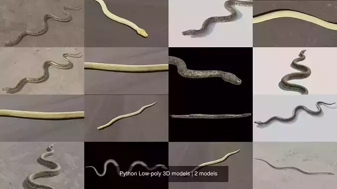 Python Low-poly 3D models