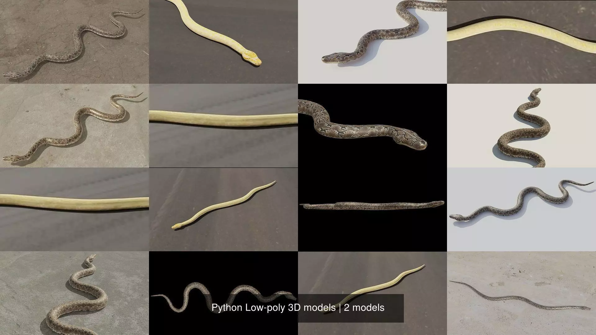 Python Low-poly 3D models 3D Model Collection_1