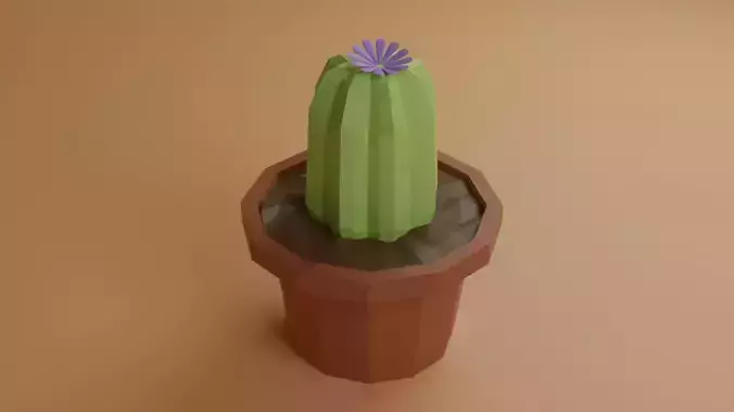 Cactus in pot