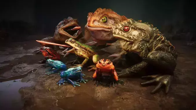 Frogs pack Low-poly 3D model