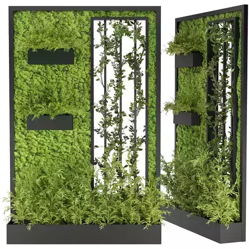 Collection plant vol 166 3D model