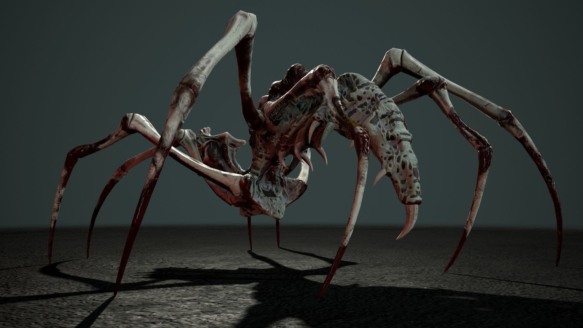 Undeath Spider 1 Low-poly 3D model_8