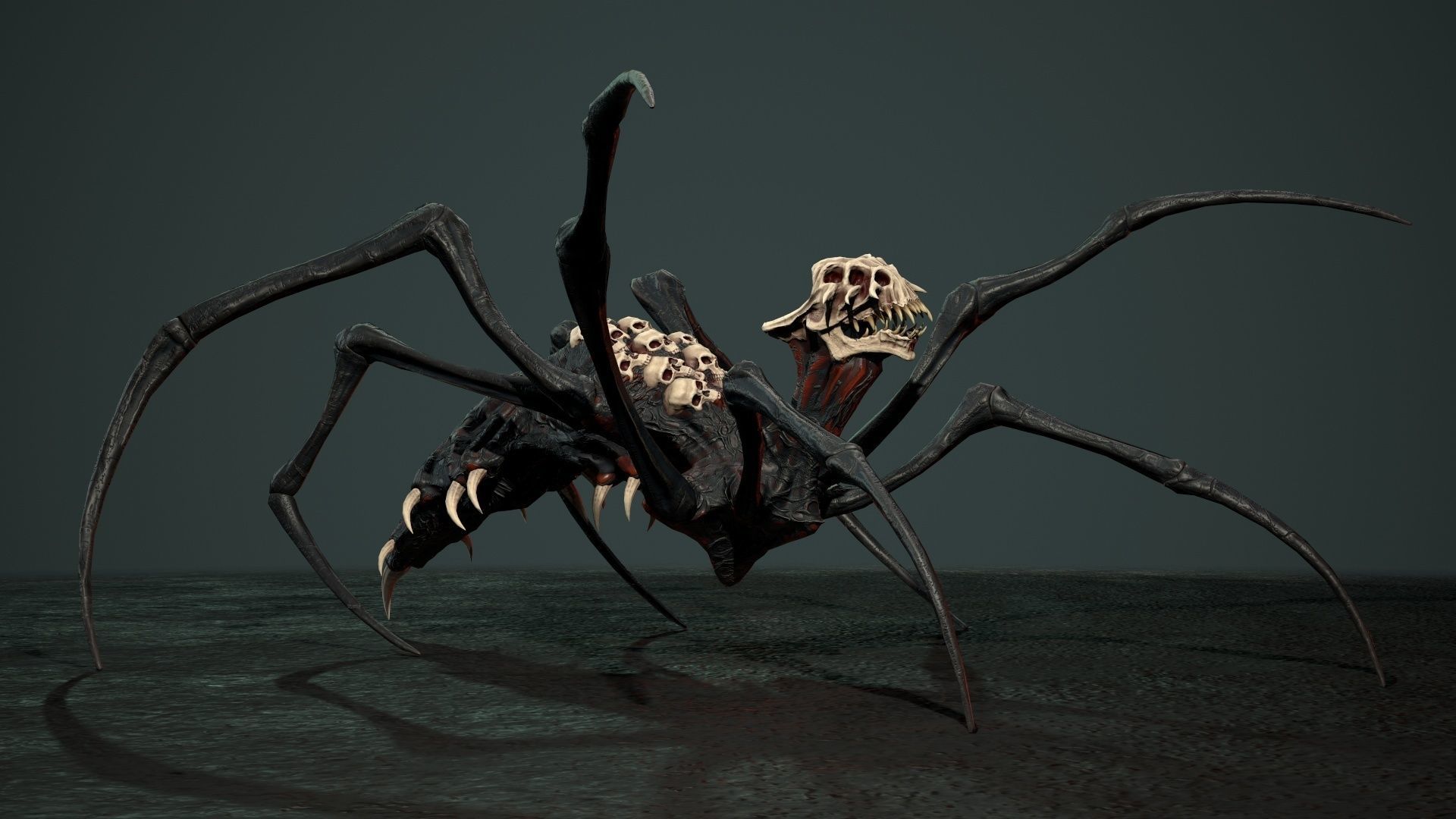 Undeath Spider 1 Low-poly 3D model_18