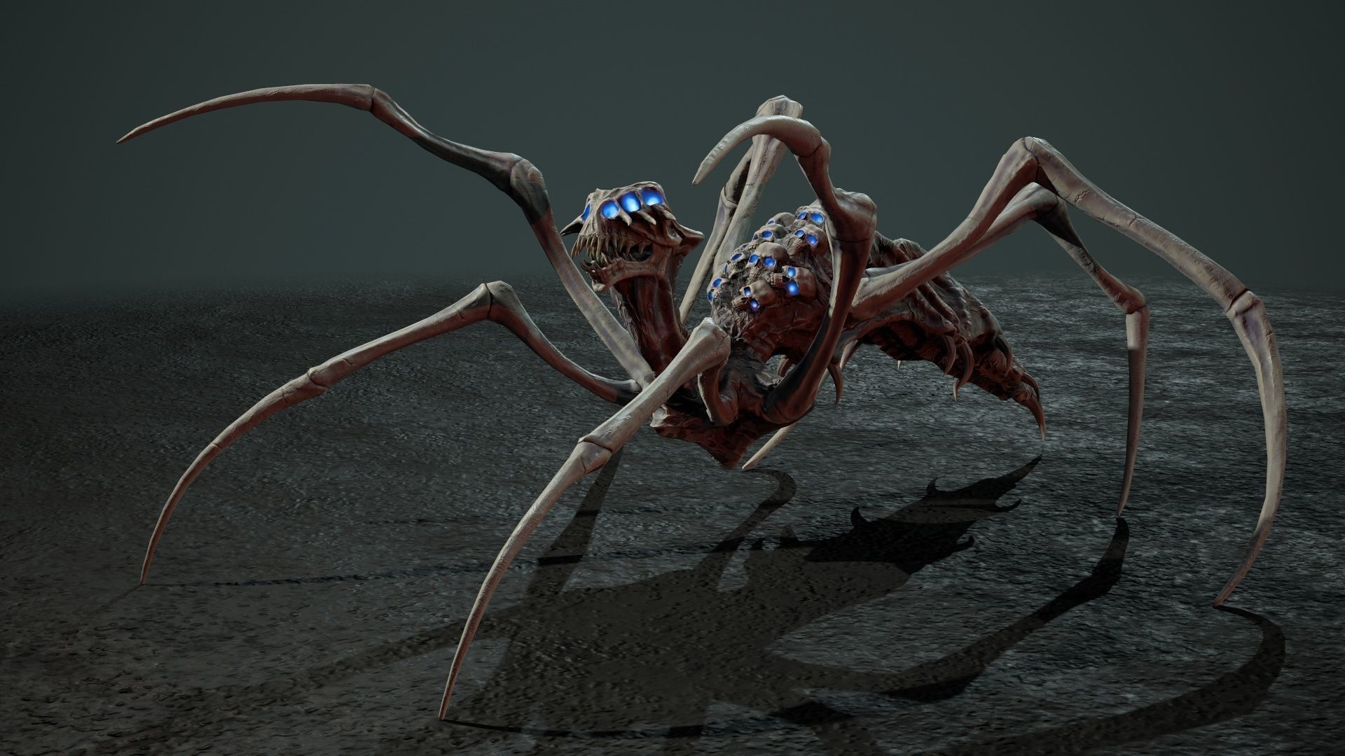 Undeath Spider 1 Low-poly 3D model_19