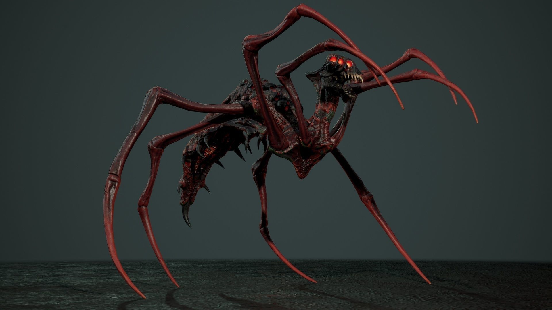 Undeath Spider 1 Low-poly 3D model_20
