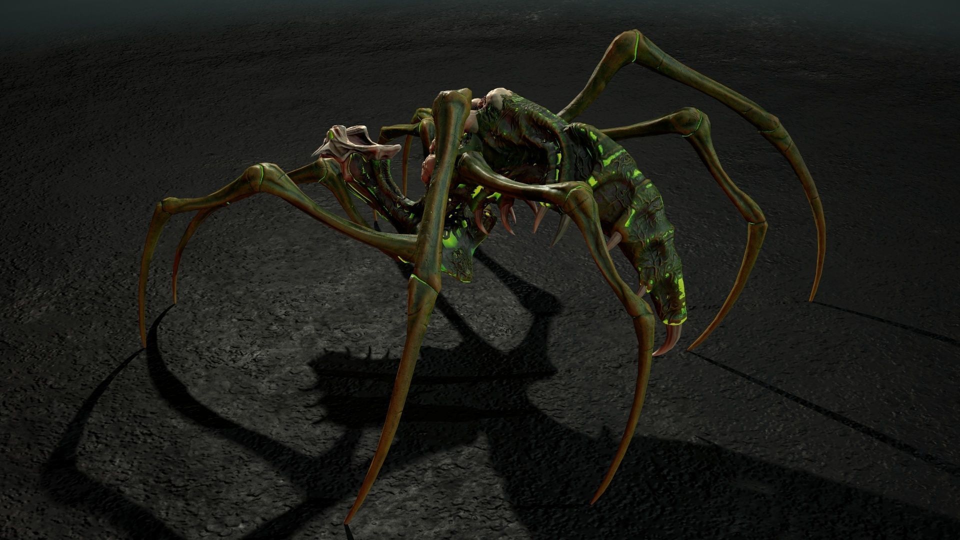 Undeath Spider 1 Low-poly 3D model_11