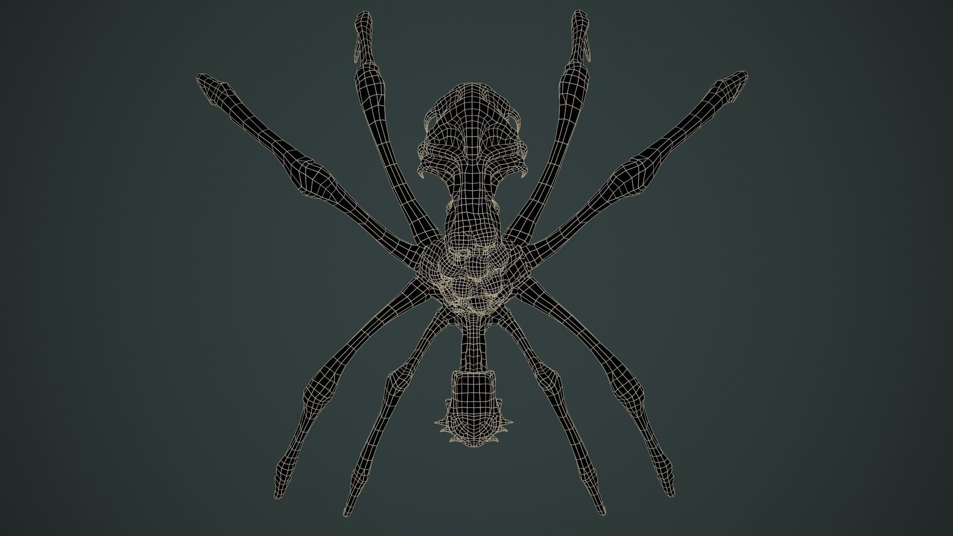 Undeath Spider 1 Low-poly 3D model_24