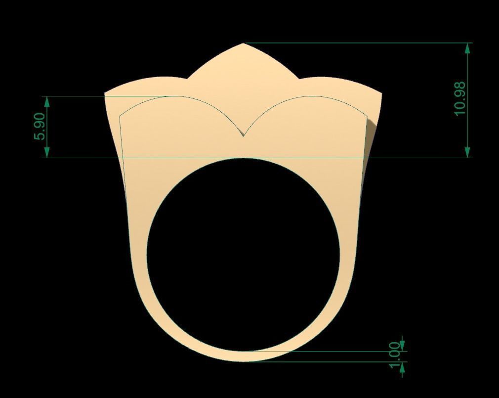 Ultra Vision Ring 24 3D print model_6