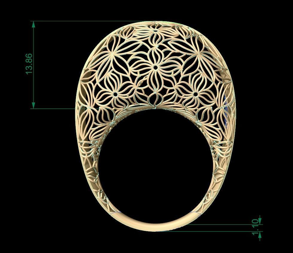 Ultra Vision Ring 25 3D print model_5