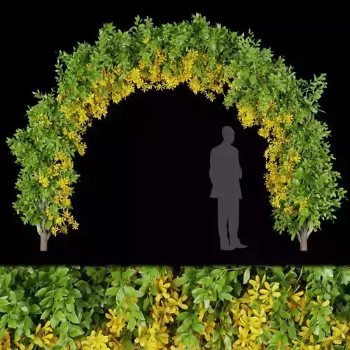 Collection plant vol 171