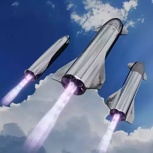 SpaceX Starship Crew Cargo and Tanker version 3D model