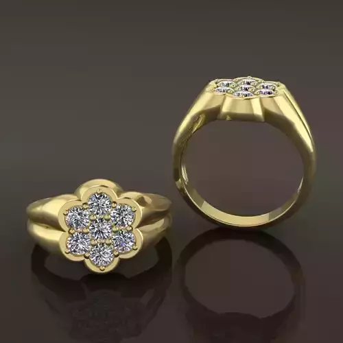 Round Cluster Diamond Ring Signet Band Mix Size 