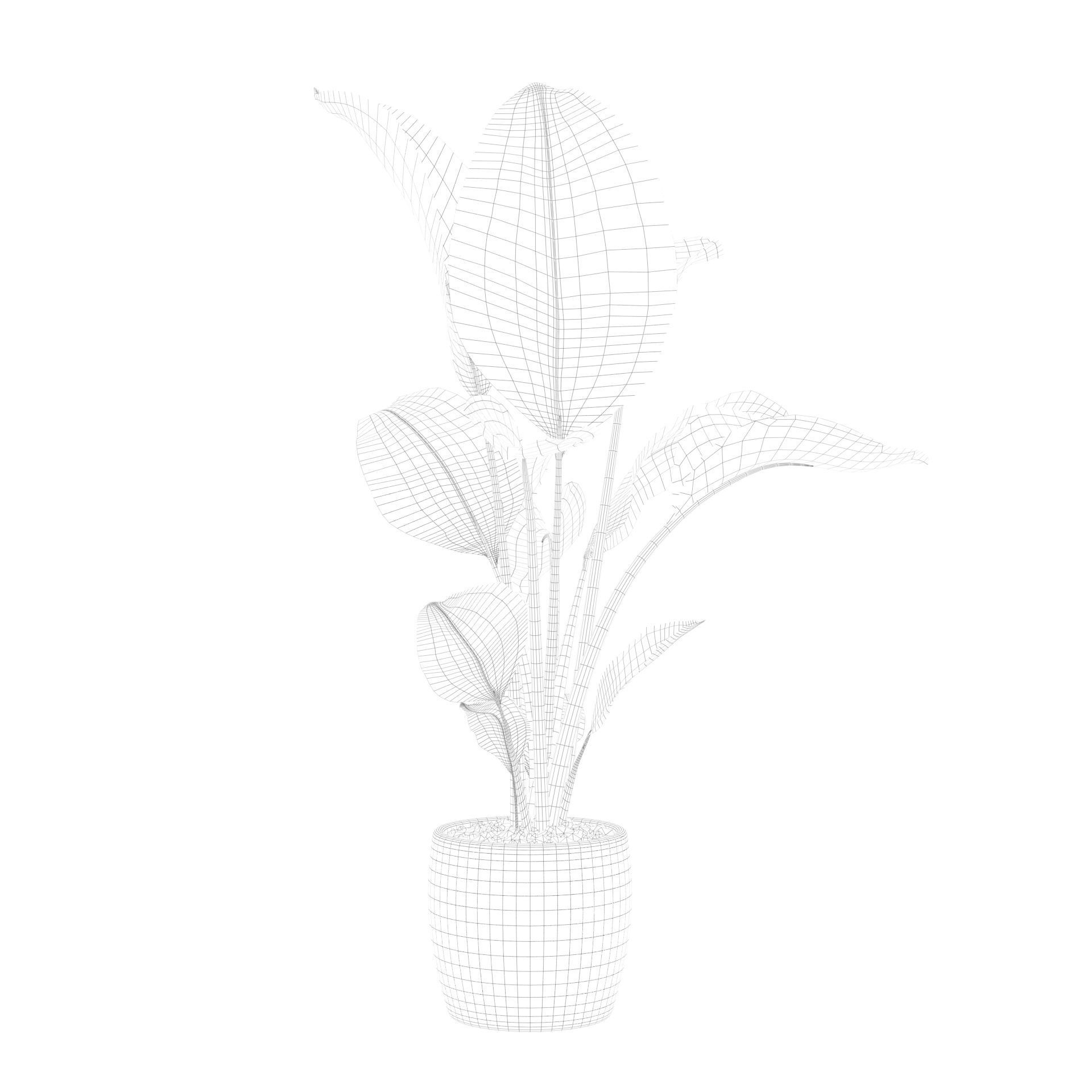 Strelitzia in terrazio pot 3D model_74